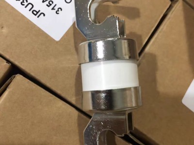 Bussmann (now a subsidiary of Eaton Corporation) offers a 315A fuse
