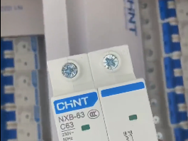 CHINT NXB63-2P/63A  two-pole miniature circuit breaker（MCB）