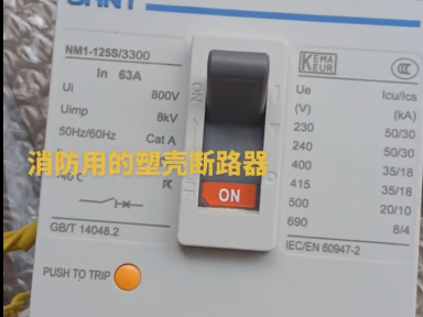 Chint NM1-125S/3300-63A Molded Case Circuit Breaker