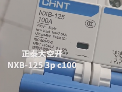 Chint NXB125-3P100A miniature circuit breaker