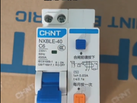 Chint NXBLE-40C6 residual current circuit breaker (RCCB) 