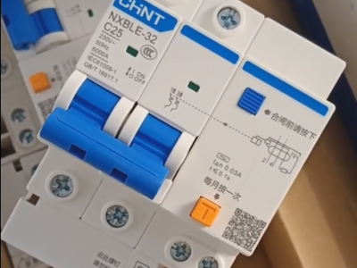 Chint NXBLE32-2PC25 miniature circuit breaker